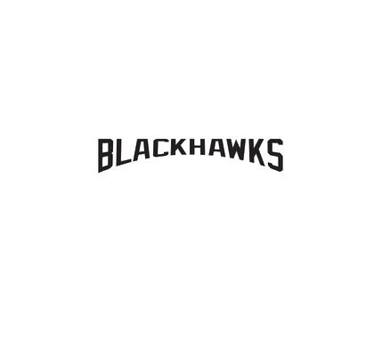 [CUS-STK-VC-3IN-LOGO2] Team Stickers (3in, Logo 2)
